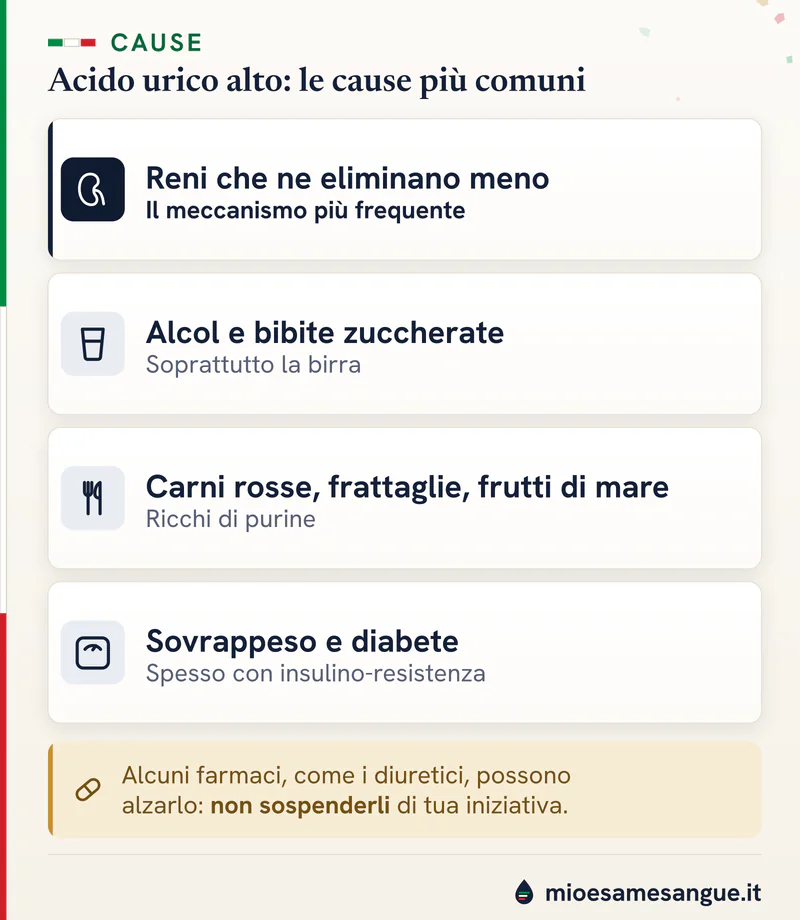 Quattro schede sulle cause dell'acido urico alto: reni che eliminano meno, alcol, cibi ricchi di purine, sovrappeso