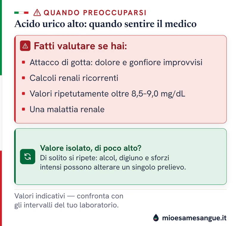 Riquadro rosso con i segnali dell'acido urico alto da valutare e pannello verde sul valore isolato da ricontrollare