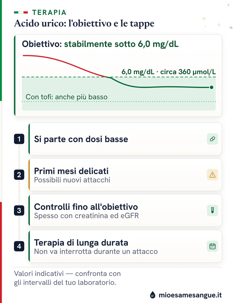 Curva dell'acido urico che scende sotto la linea di 6,0 mg/dL e quattro tappe numerate della terapia