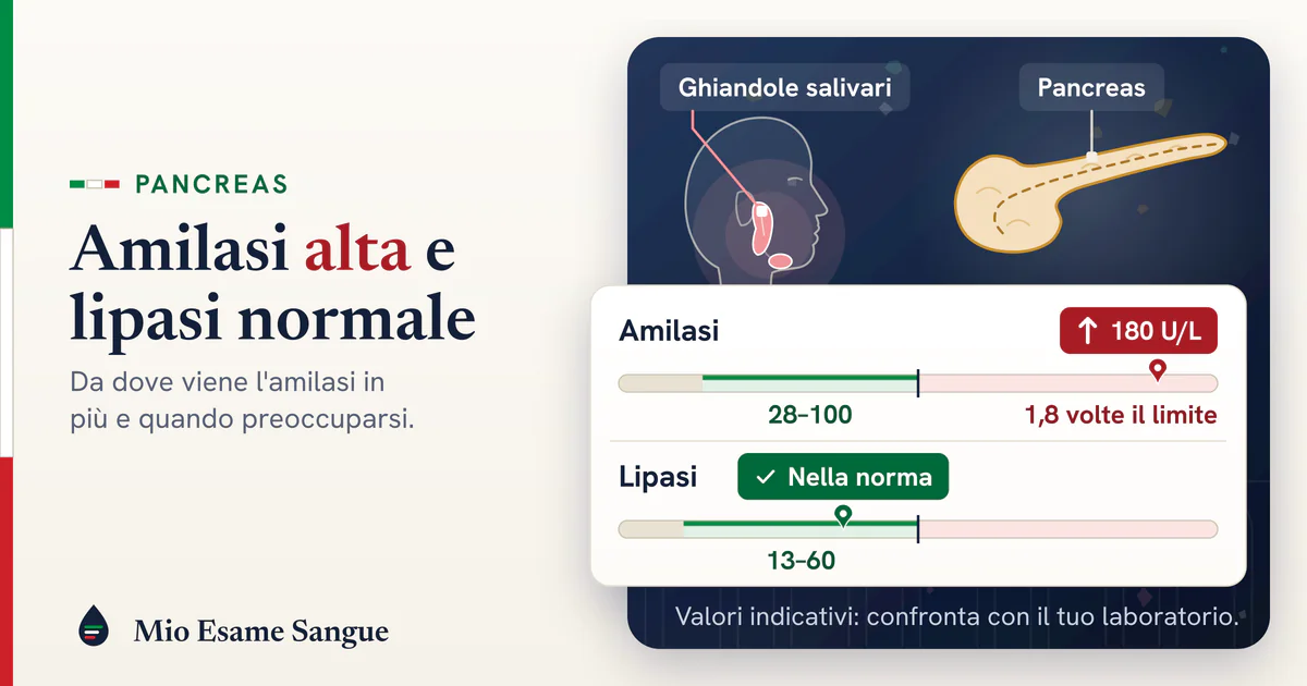 Profilo della testa con la parotide accesa accanto al pancreas, amilasi a 180 U/L sopra 28–100 e lipasi nei limiti