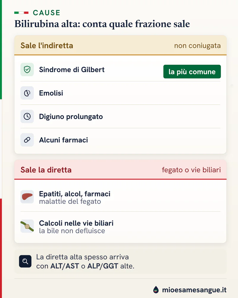 Due pannelli sulla bilirubina alta: indiretta con Gilbert, emolisi, digiuno e farmaci; diretta con epatiti e calcoli biliari