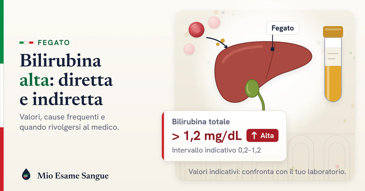 Globuli rossi e granuli di bilirubina verso il fegato con colecisti, provetta di siero giallo e totale oltre 1,2 mg/dL