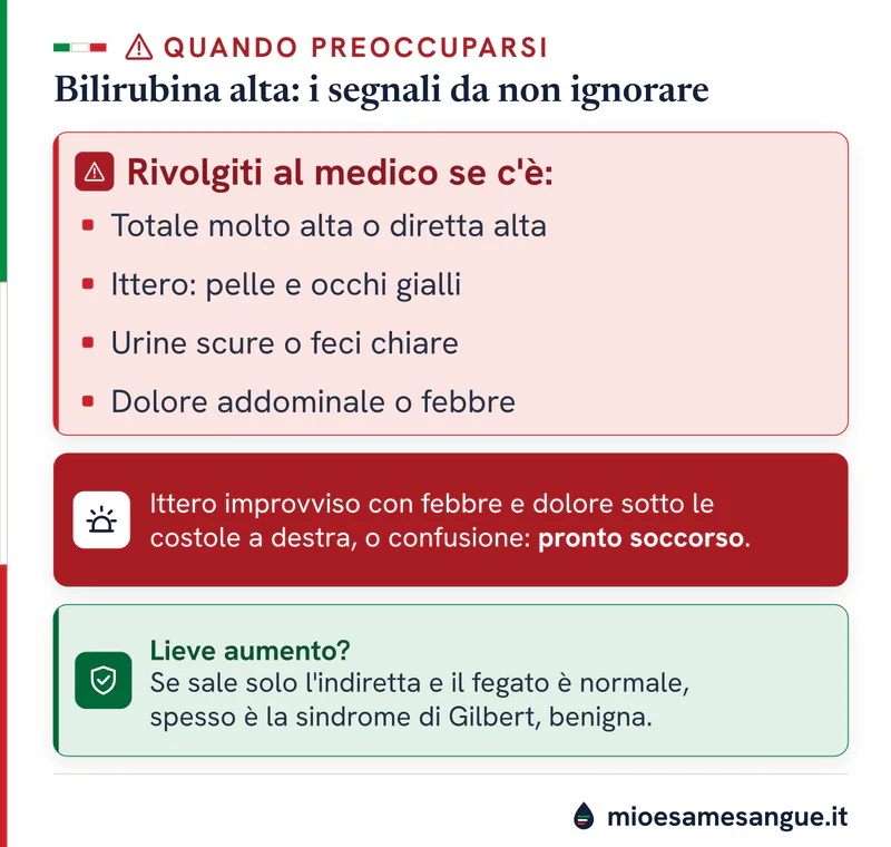 Riquadro rosso con i segni della bilirubina alta da mostrare al medico, fascia del pronto soccorso e pannello verde sereno