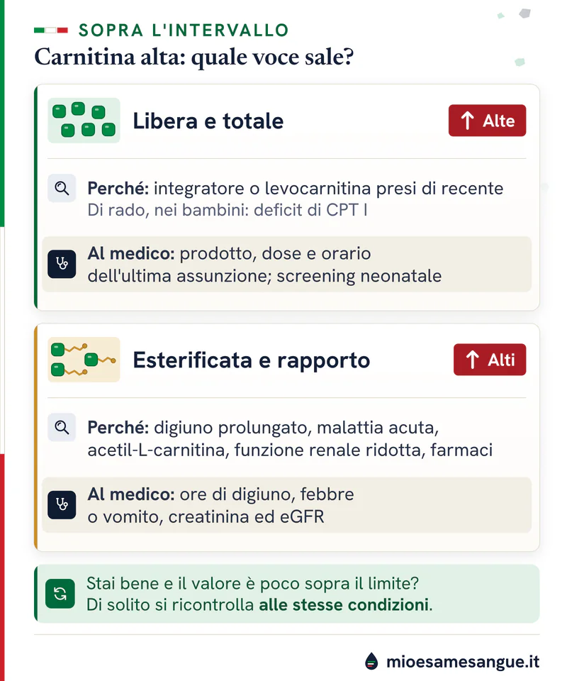 Due schede sulla carnitina alta, libera e totale o esterificata e rapporto, con le cause e cosa riferire al medico
