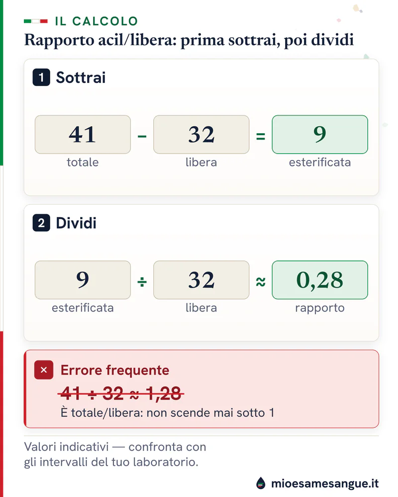Calcolo della carnitina in due passaggi, totale 41 e libera 32: esterificata 9, rapporto 0,28, e l'errore 41 ÷ 32 barrato