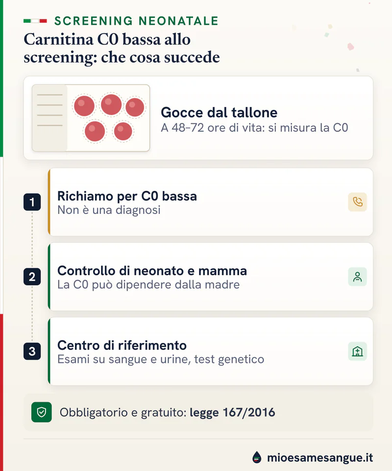 Cartoncino con gocce di sangue dal tallone e le tappe dopo una carnitina C0 bassa: richiamo, neonato e mamma, centro