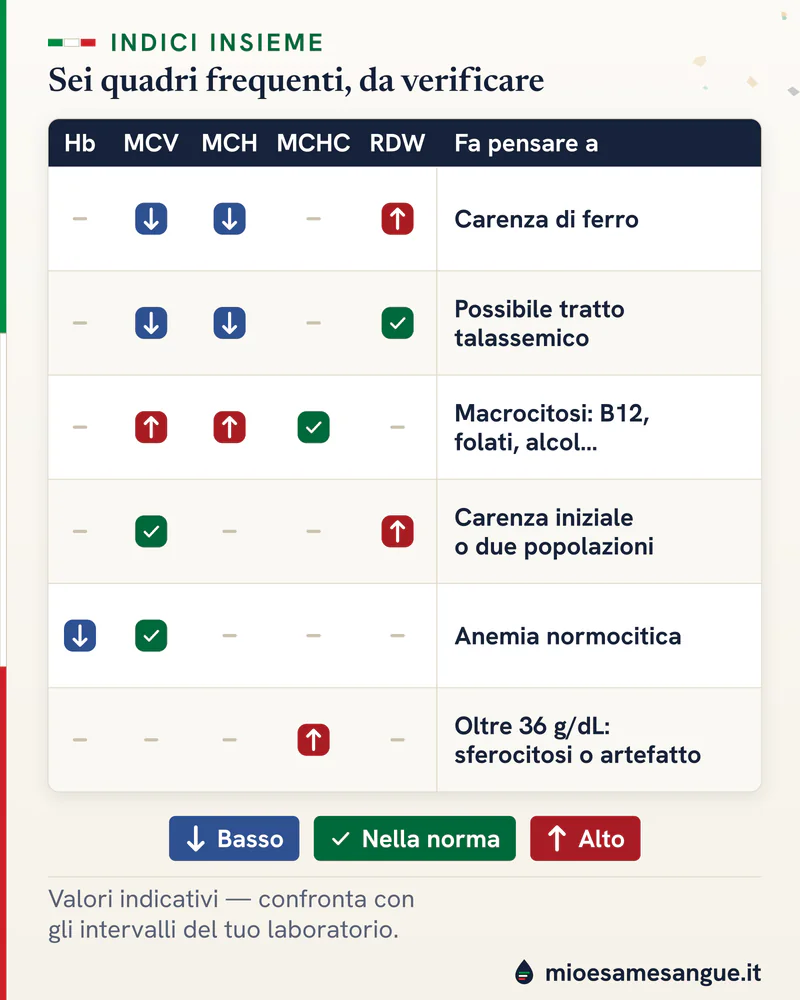 Griglia a frecce di emoglobina, MCV, MCH, MCHC e RDW in sei quadri con le ipotesi, dalla carenza di ferro alla sferocitosi