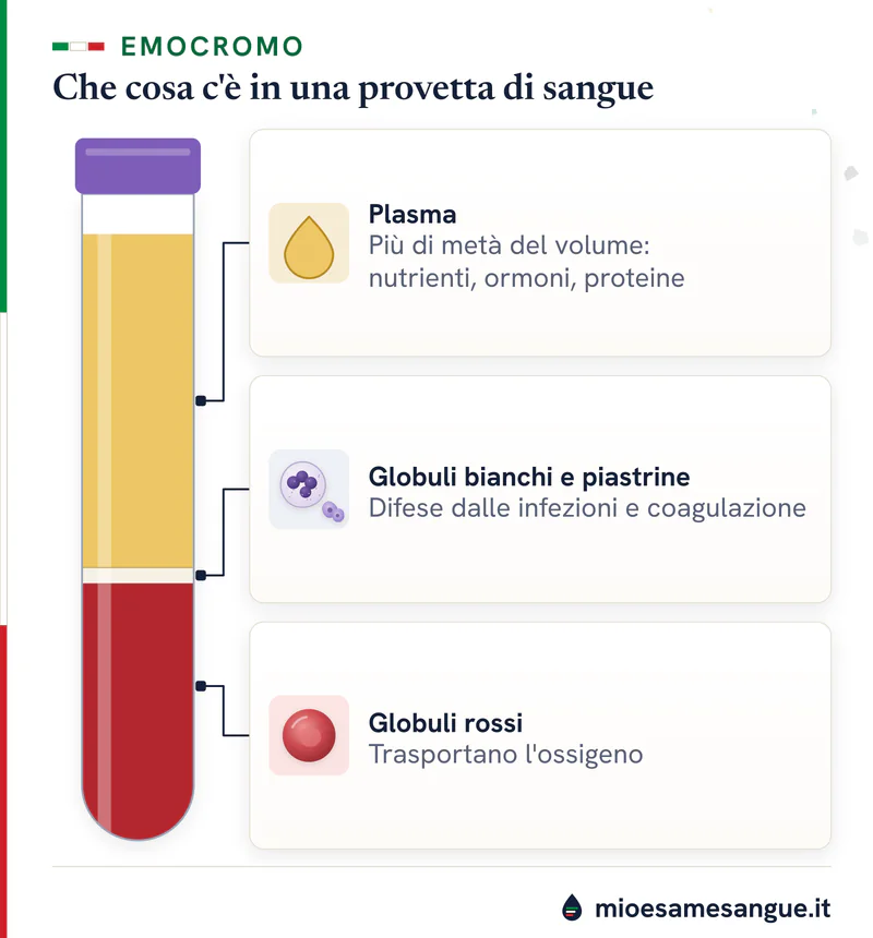 Provetta di sangue divisa in tre strati: plasma giallo in alto, globuli bianchi e piastrine al centro, globuli rossi in fondo