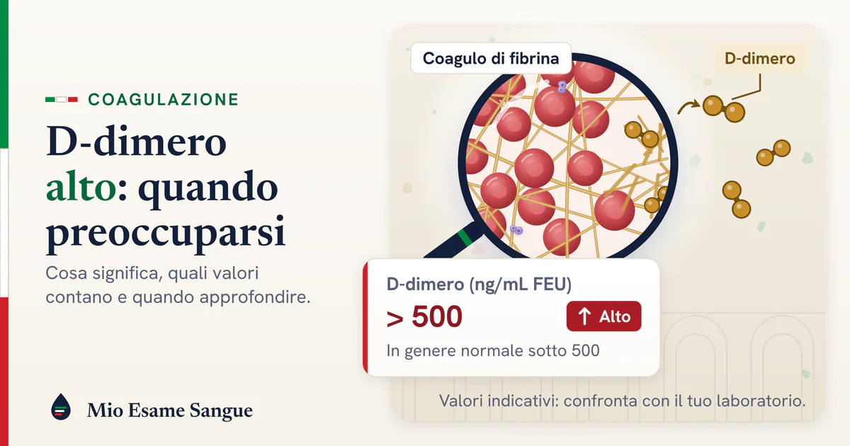 D-dimero alto: cosa significa il valore sopra la soglia Lente su un coagulo di fibrina con globuli rossi intrappolati, frammenti di D-dimero che si staccano e scheda del valore alto