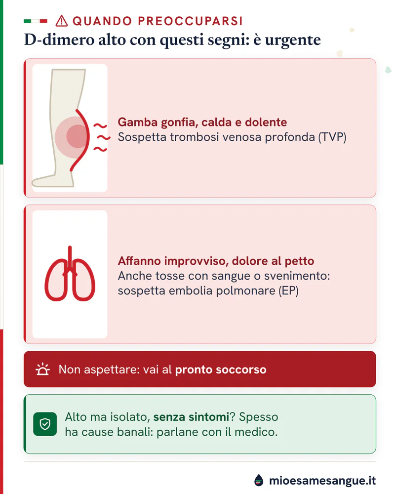 Gamba dal polpaccio gonfio e polmoni in rosso per TVP ed EP, fascia del pronto soccorso e riquadro verde sul D-dimero isolato