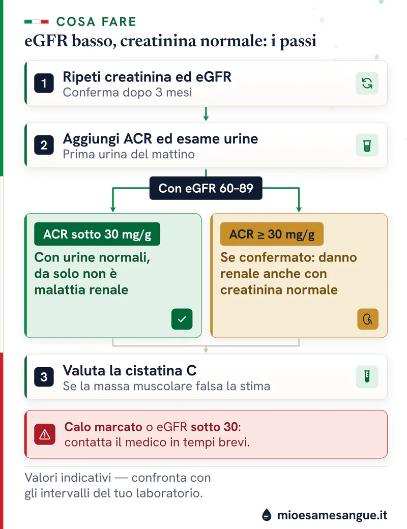 Tre passi numerati per un eGFR basso, con bivio sull'ACR sotto 30 mg/g o da 30 in su e un riquadro rosso per il calo marcato
