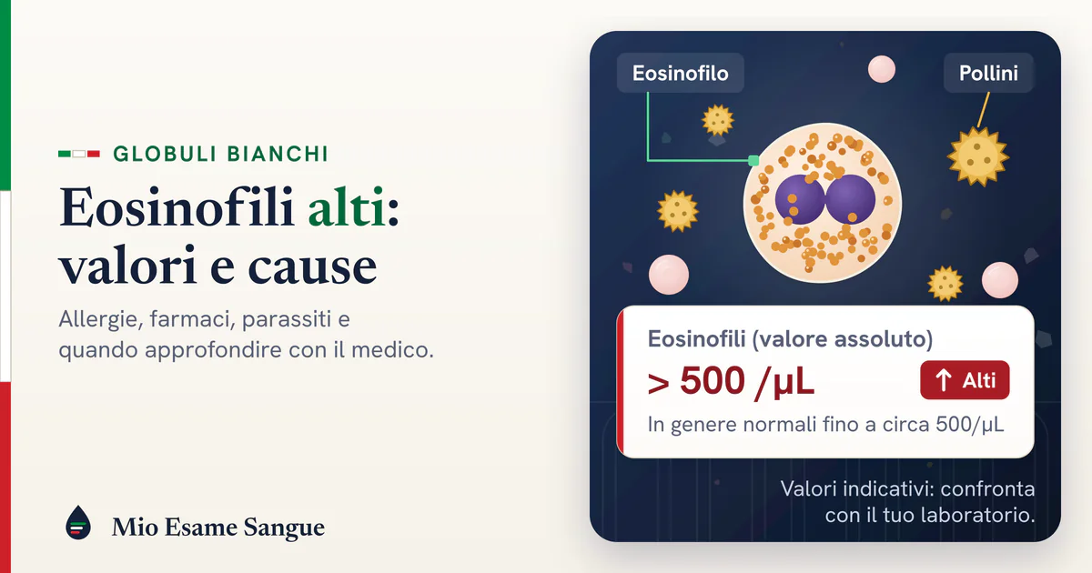 Eosinofili alti nell'emocromo: valori, allergie e cause Eosinofilo con nucleo a due lobi e granuli arancioni tra granuli di polline, con la scheda degli eosinofili oltre 500/µL