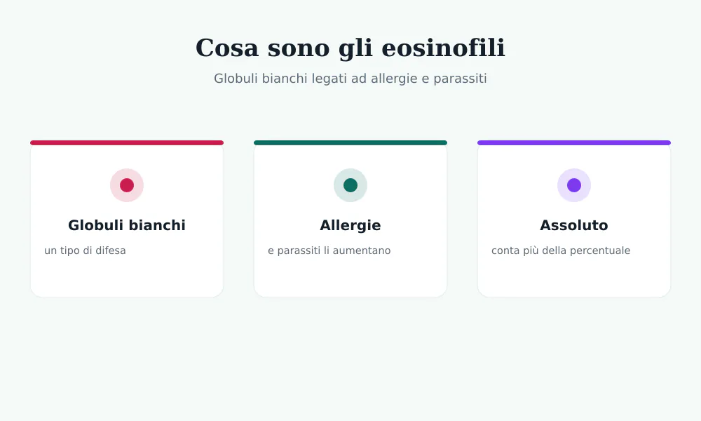 Schema degli eosinofili: globuli bianchi che aumentano nelle allergie e nelle parassitosi