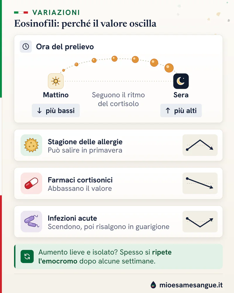 Arco dal sole alla luna: eosinofili più bassi al mattino, più alti la sera; sotto, curve di allergie, cortisonici e infezioni