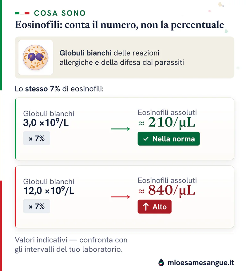Eosinofilo e due schede con lo stesso 7%: con 3,0 ×10⁹/L globuli bianchi circa 210/µL nella norma, con 12,0 circa 840/µL alti