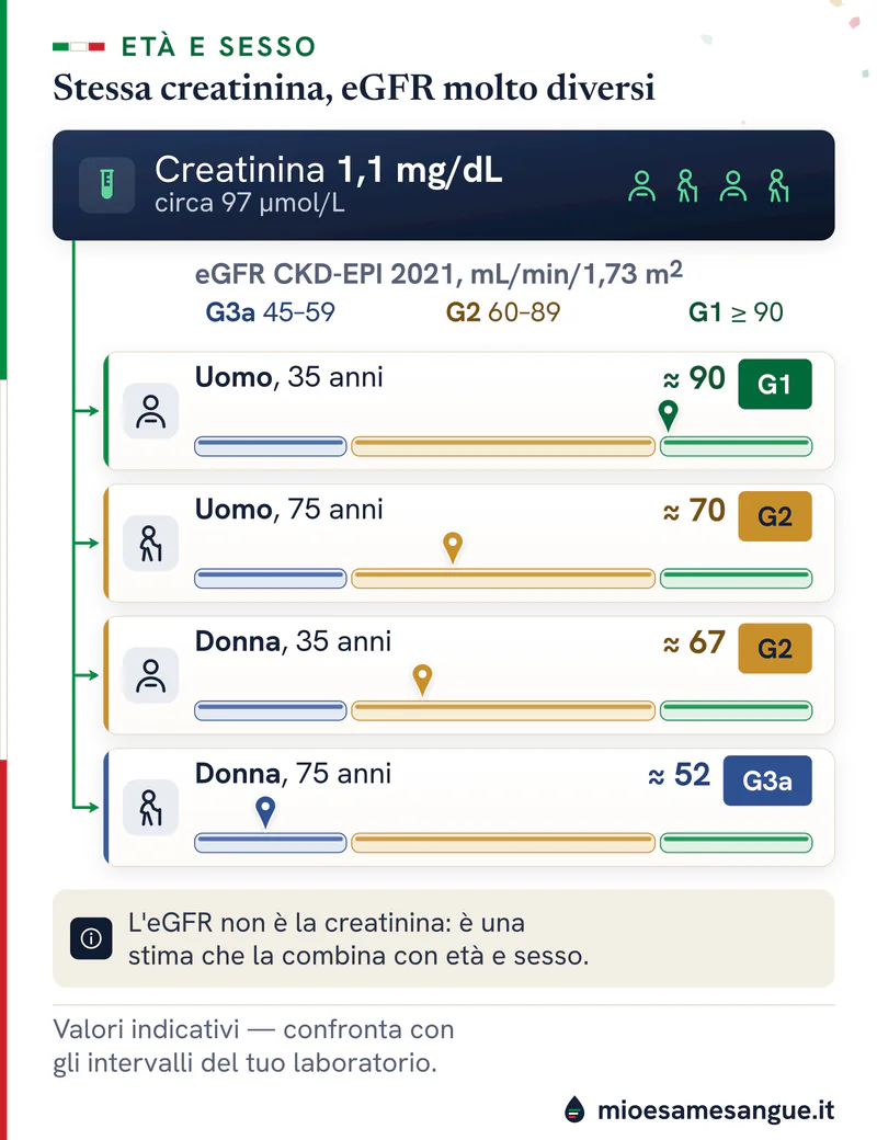 Creatinina di 1,1 mg/dL collegata a quattro persone, uomo e donna di 35 e 75 anni, con eGFR da 90 (G1) a 52 (G3a)