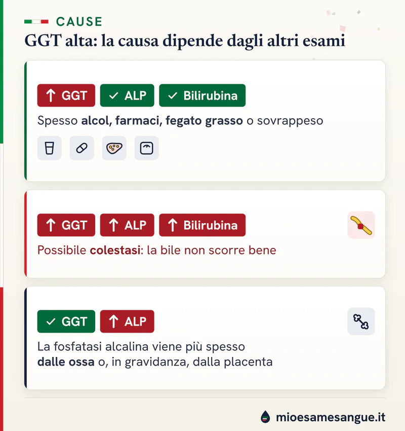 Tre schede con bollini di GGT, ALP e bilirubina: solo GGT alta, tutte e tre alte per colestasi, ALP alta con GGT normale