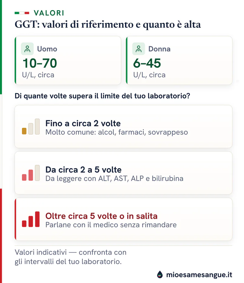 Tessere della GGT, uomo circa 10–70 e donna circa 6–45 U/L, e tre gradini di quante volte supera il limite del laboratorio
