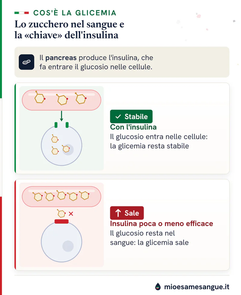 Glicemia in due riquadri: con l'insulina il glucosio entra nella cellula, se è poca resta nel vaso sanguigno
