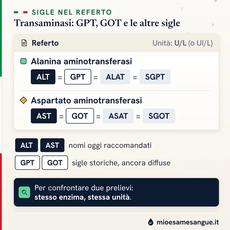 Due righe di referto delle transaminasi con le sigle ALT, GPT, ALAT, SGPT e AST, GOT, ASAT, SGOT, unità U/L
