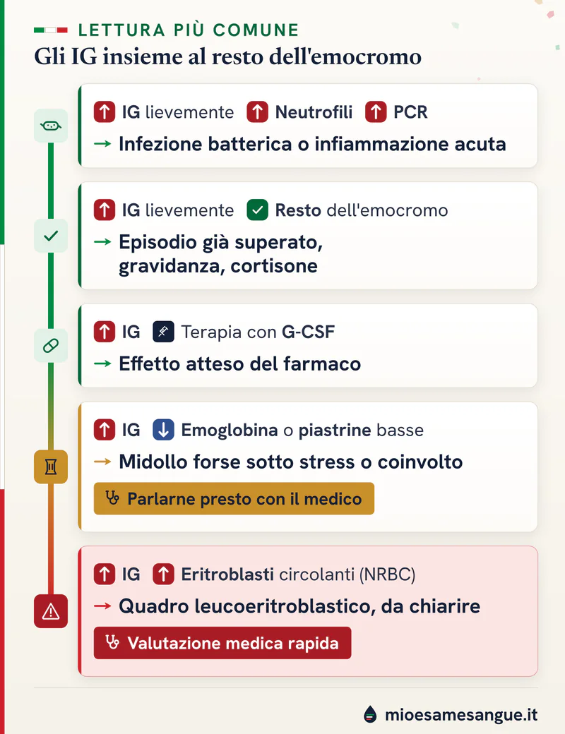 Granulociti immaturi alti in cinque schede: neutrofili e PCR, G-CSF, emoglobina o piastrine basse, NRBC, dal verde al rosso