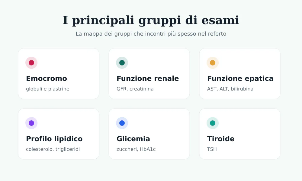 Infografica dei principali gruppi di esami del sangue: emocromo, funzione renale, funzione epatica, profilo lipidico, glicemia e tiroide