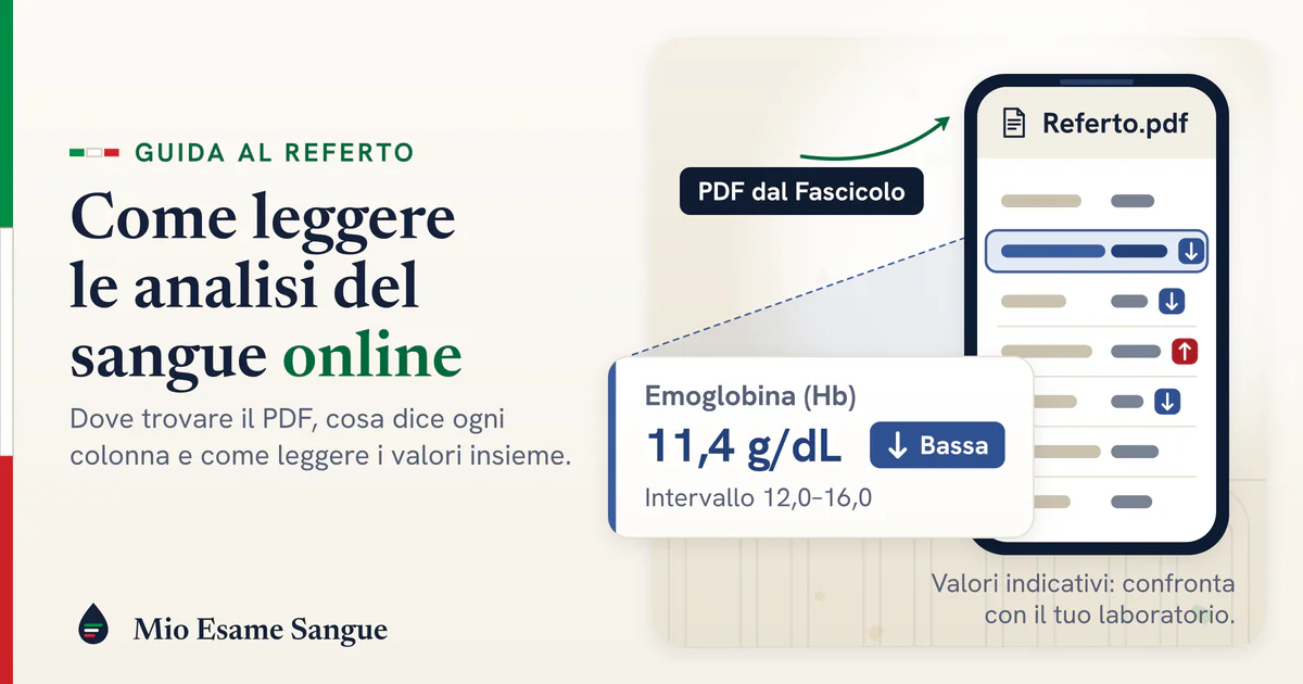 Telefono con il referto in PDF e una riga ingrandita: emoglobina 11,4 g/dL segnata bassa, intervallo 12,0–16,0
