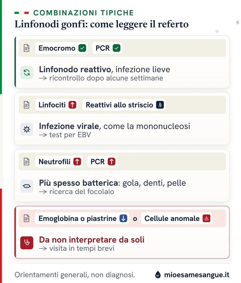 Quattro righe di referto per linfonodi ingrossati: emocromo e PCR normali, linfociti o neutrofili alti, piastrine basse