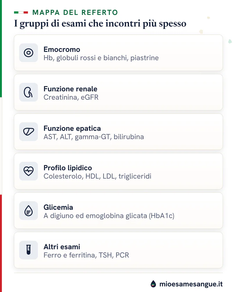 Sei schede con icone: emocromo, funzione renale, funzione epatica, profilo lipidico, glicemia e altri esami del sangue