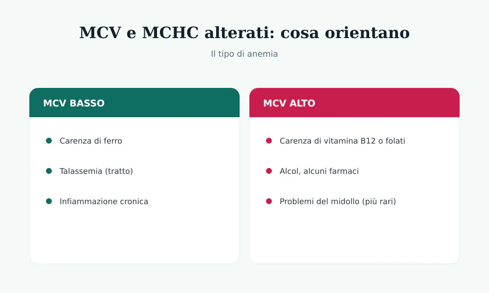 Cosa orientano MCV e MCHC: MCV basso verso carenza di ferro e talassemia, MCV alto verso carenza di B12 o folati