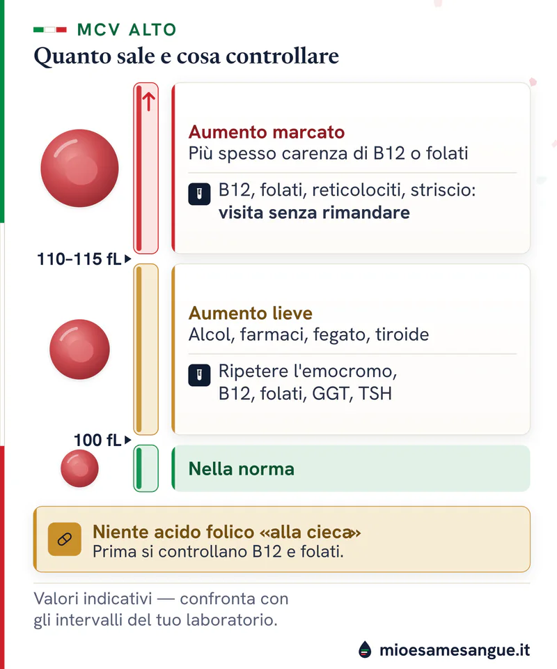 Barra verticale dell'MCV alto con globuli sempre più grandi: lieve 100–110 fL, marcato oltre 110–115 fL, con i primi esami