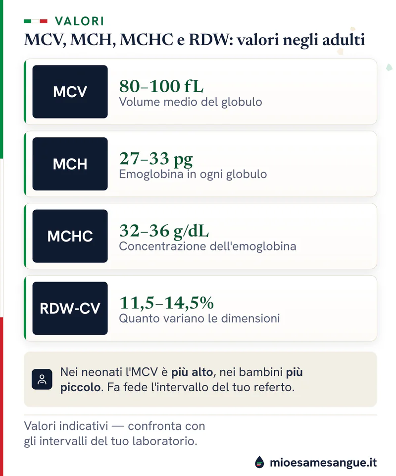 Quattro righe di valori: MCV 80–100 fL, MCH 27–33 pg, MCHC 32–36 g/dL e RDW-CV 11,5–14,5%, con nota sui bambini
