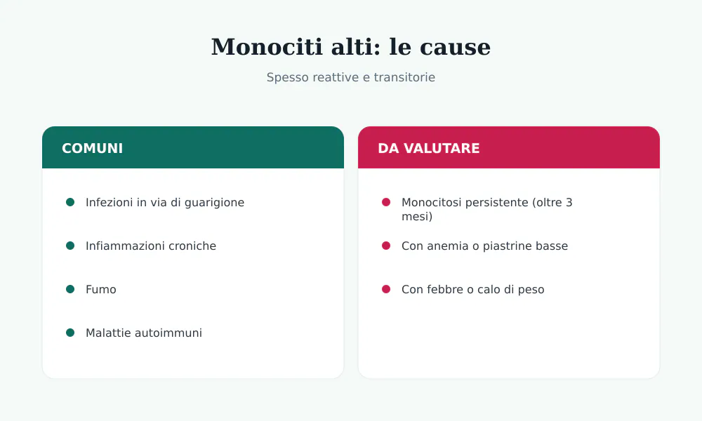 Cause dei monociti alti: infezioni in guarigione, infiammazioni croniche, fumo