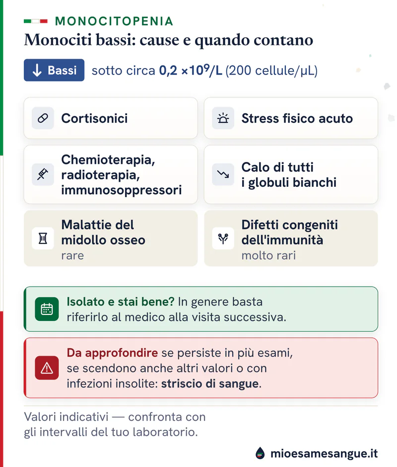 Schede con sei cause dei monociti bassi sotto circa 0,2 ×10⁹/L, poi il calo isolato in verde e quando approfondire in rosso