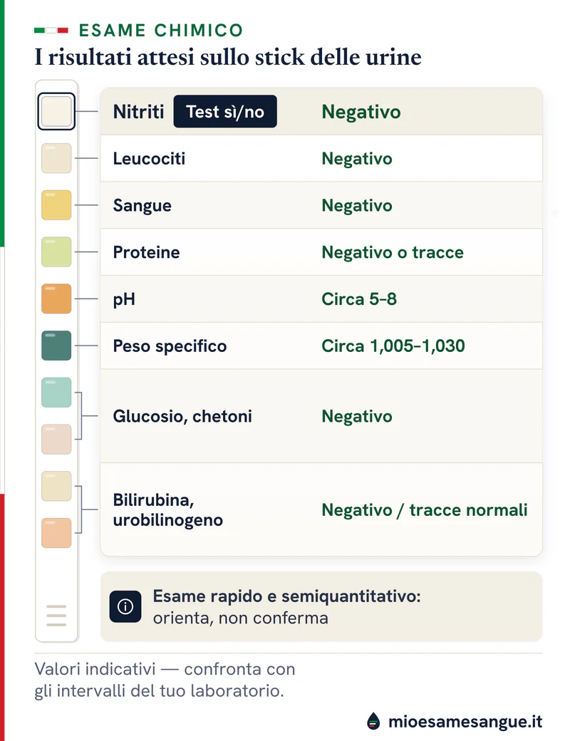 Striscia reattiva a dieci tamponi con il risultato atteso accanto: nitriti negativi, pH 5–8, peso specifico 1,005–1,030