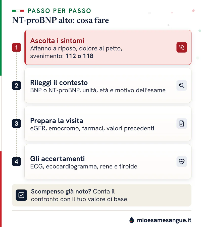 Percorso in quattro passi dopo un NT-proBNP alto: sintomi da 112 in rosso, contesto, visita, accertamenti e valore di base