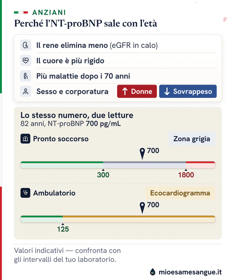 Quattro motivi per cui l'NT-proBNP sale con l'età e due barre con 700 pg/mL a 82 anni, in pronto soccorso e in ambulatorio