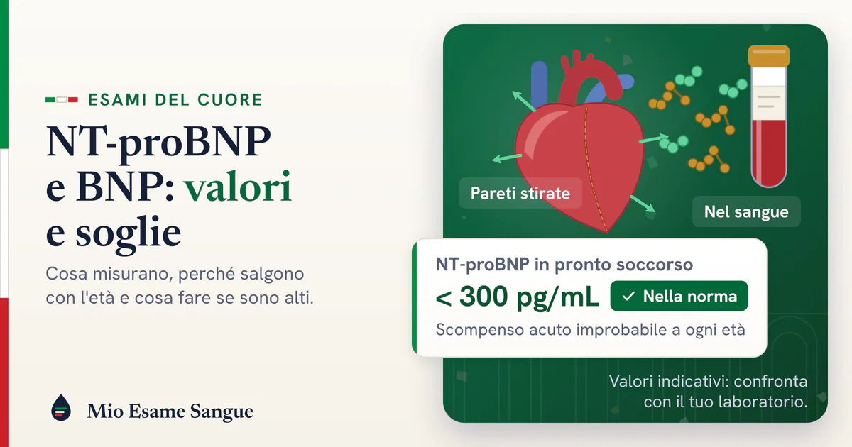 Cuore con le pareti stirate che libera peptidi verso una provetta e scheda NT-proBNP sotto 300 pg/mL nella norma