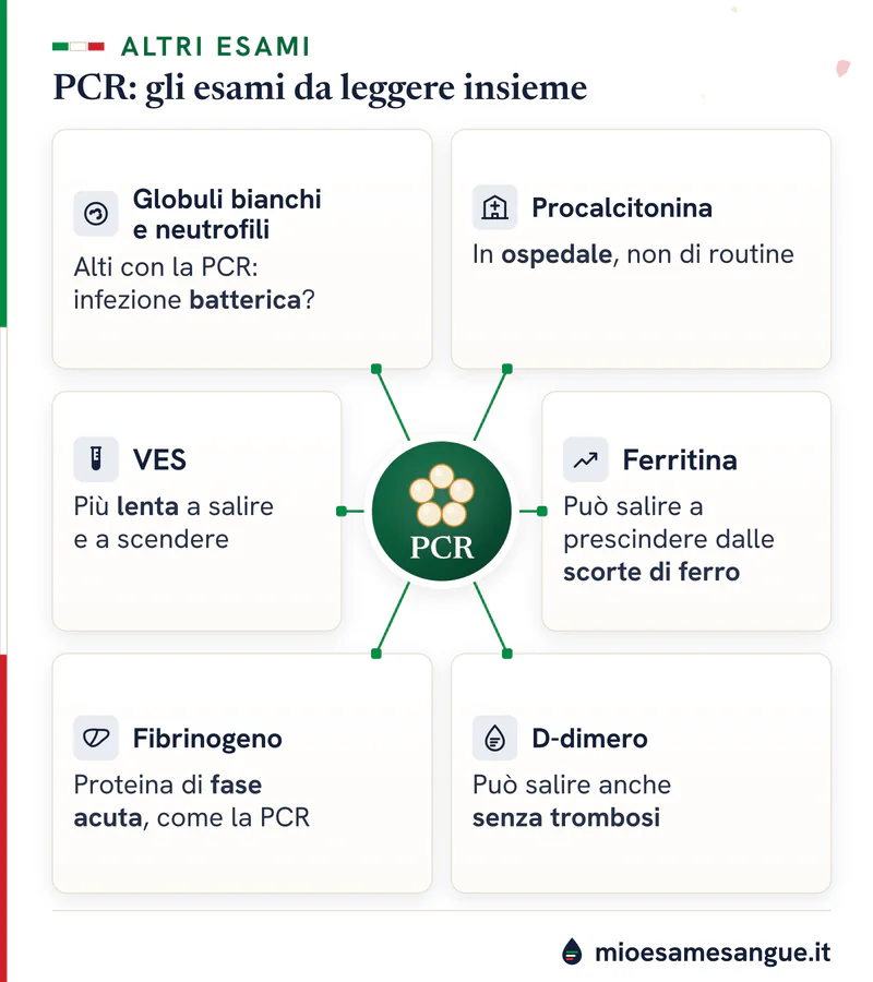 PCR al centro collegata a sei schede: VES, globuli bianchi e neutrofili, procalcitonina, ferritina, fibrinogeno e D-dimero