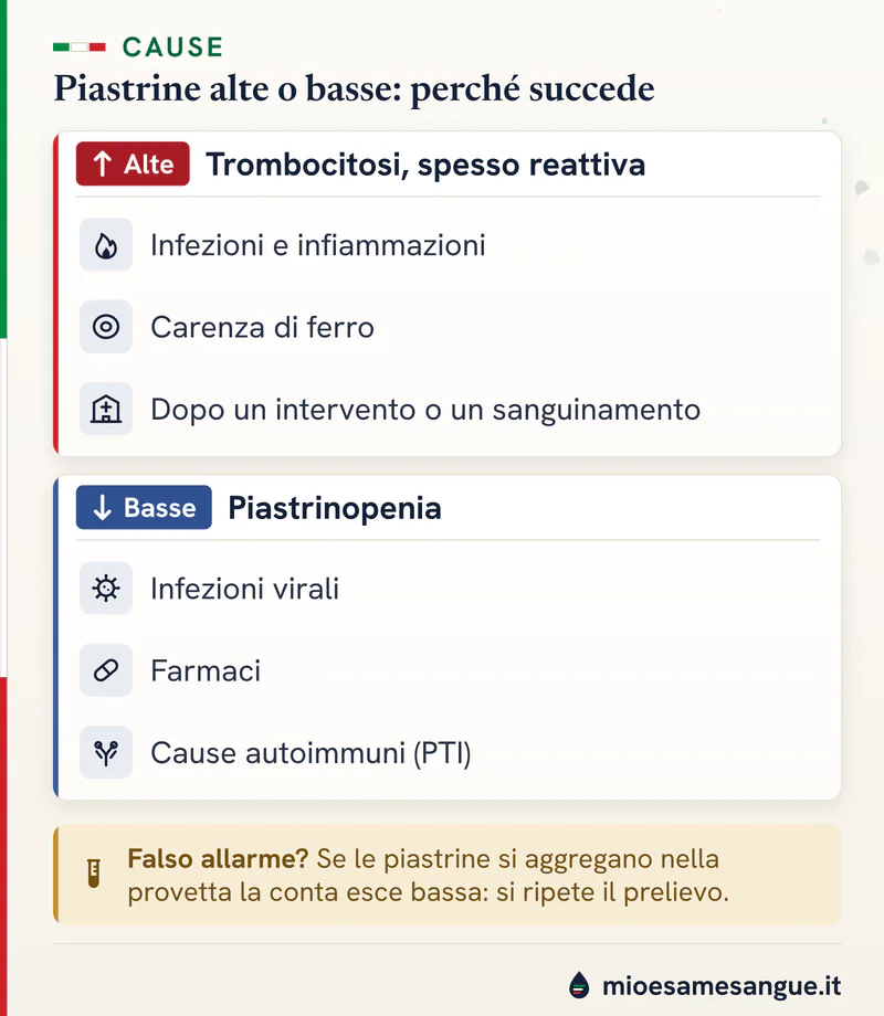 Due blocchi di cause: piastrine alte per infezioni, carenza di ferro e interventi; basse per virus, farmaci e PTI