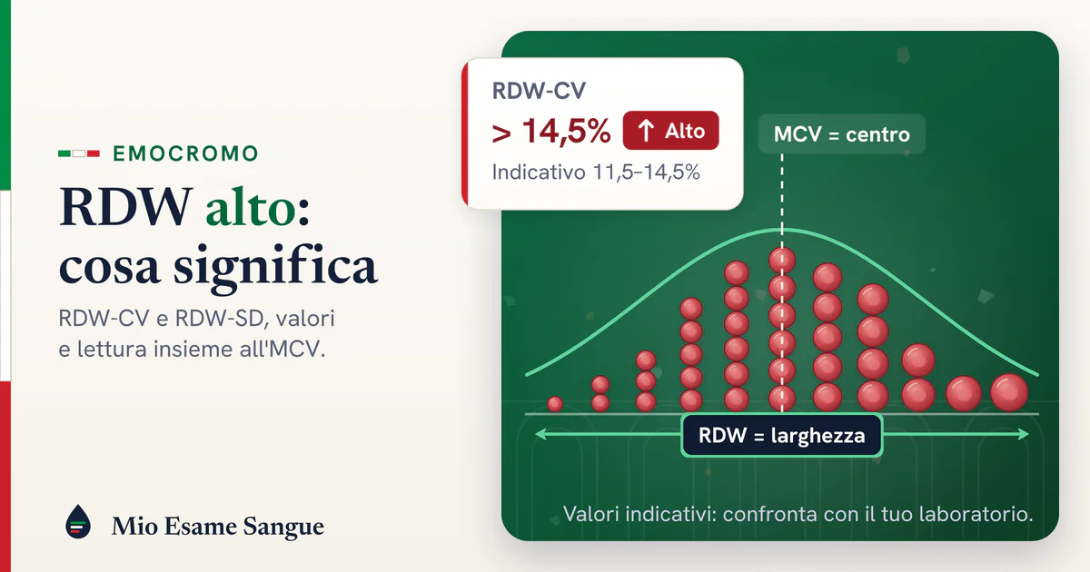 Istogramma fatto di globuli rossi piccoli e grandi con l'MCV al centro e l'RDW come larghezza, e scheda RDW-CV oltre 14,5%