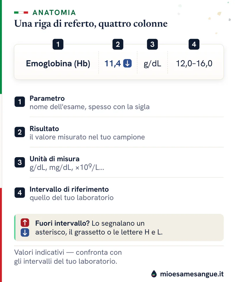 Riga di referto dell'emoglobina divisa in parametro, risultato, unità e intervallo numerati, con i segni alto e basso