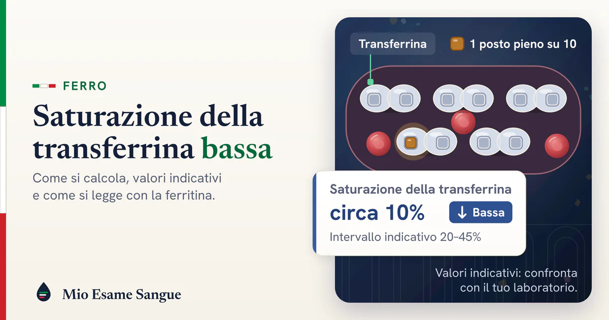 Molecole di transferrina in un vaso con un solo posto del ferro occupato su dieci e scheda della saturazione circa 10%, bassa