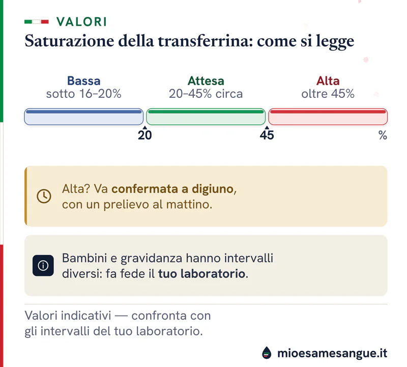 Barra della saturazione della transferrina con zone bassa sotto il 16–20%, attesa 20–45% e alta oltre il 45% a digiuno