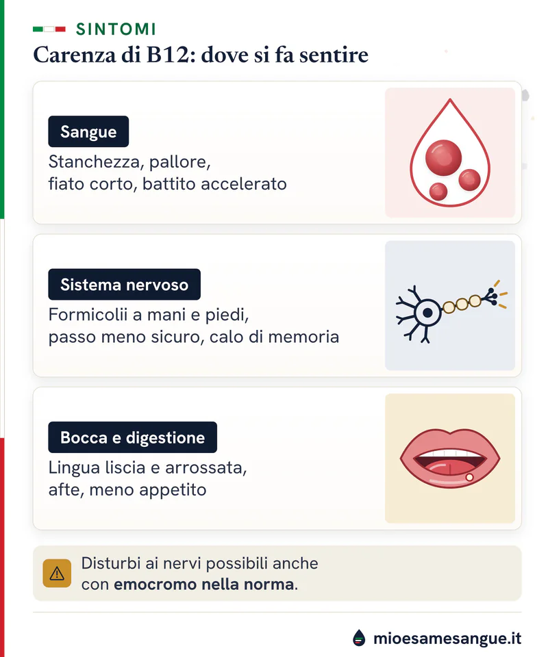 Tre schede sui disturbi da vitamina B12 bassa: goccia con pochi globuli rossi, neurone con mielina, bocca e lingua arrossata