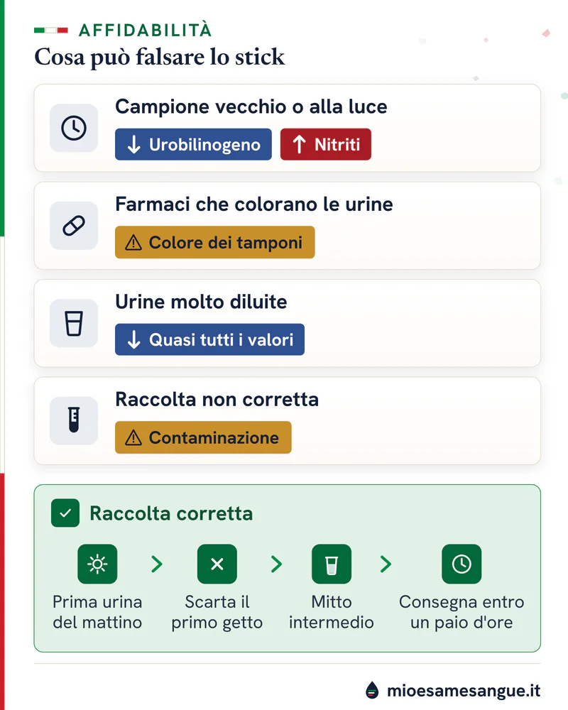 Quattro fattori che falsano lo stick delle urine, con frecce su urobilinogeno e nitriti, e i passi della raccolta corretta