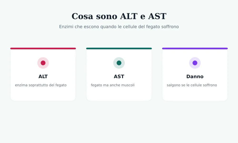 Schema di ALT e AST: enzimi che escono dalle cellule del fegato quando sono danneggiate