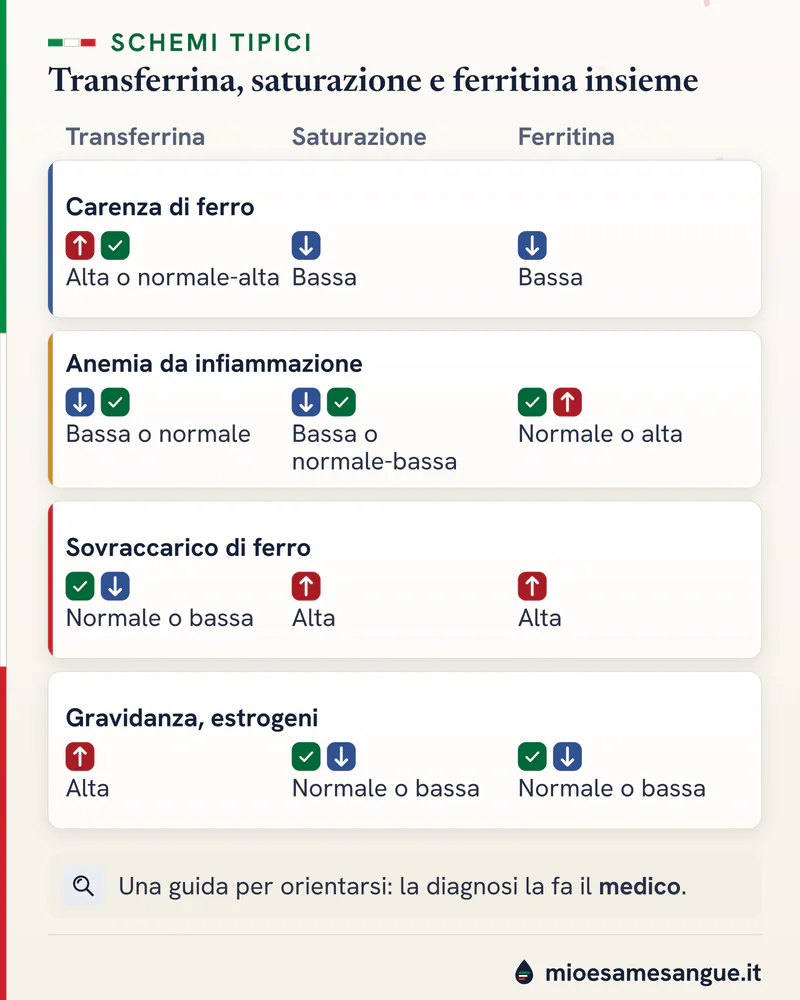 Quattro schede con frecce di transferrina, saturazione e ferritina: carenza di ferro, infiammazione, sovraccarico, gravidanza