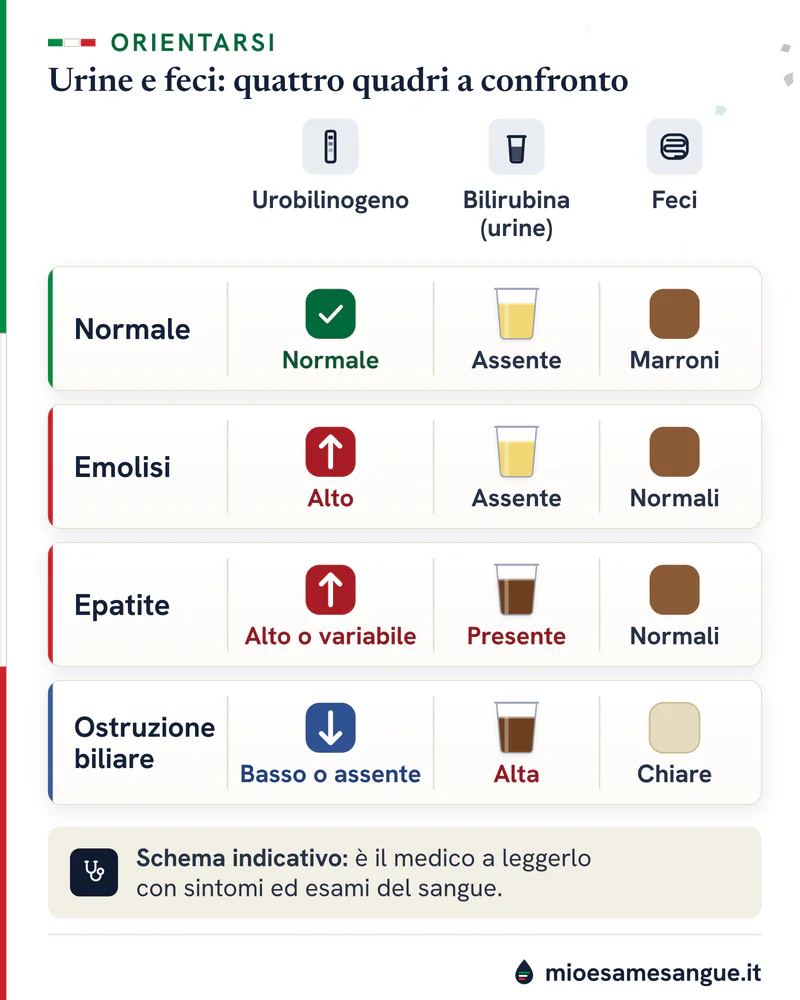 Griglia con normale, emolisi, epatite e ostruzione biliare: urobilinogeno, urine chiare o scure, feci marroni o chiare