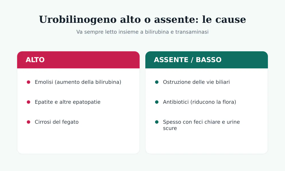 Cause di urobilinogeno alto (emolisi, epatite, cirrosi) e di urobilinogeno assente o basso (ostruzione biliare, antibiotici)